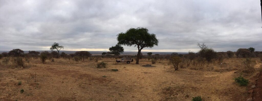 Game drives in Serengeti