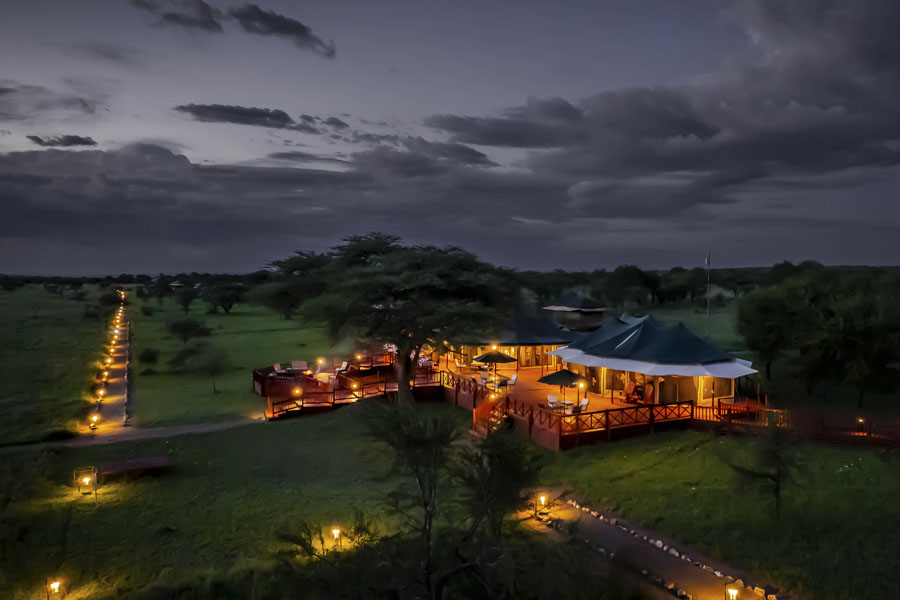 Acacia Seronera Luxury Camp