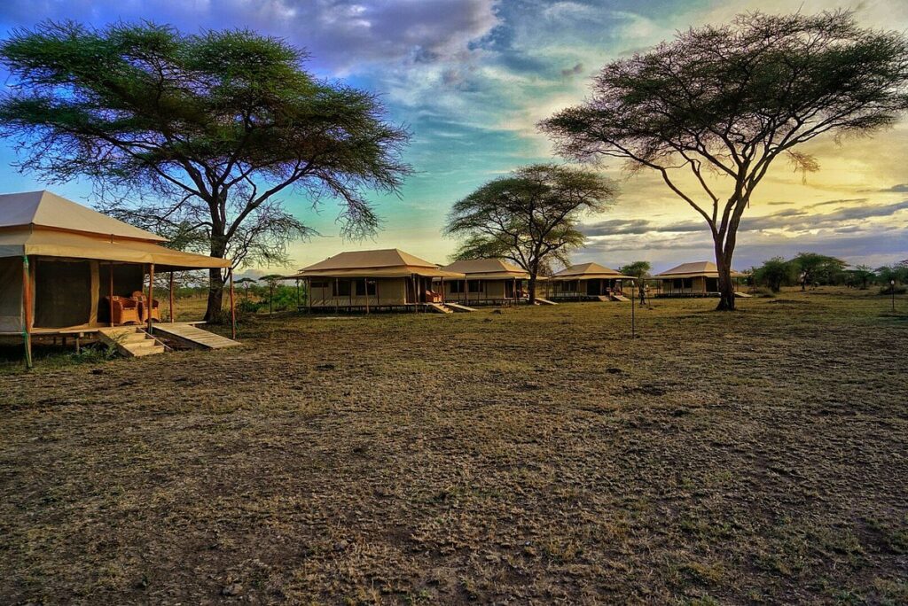 Mbugani Seronera Camp