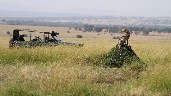 Serengeti National Park