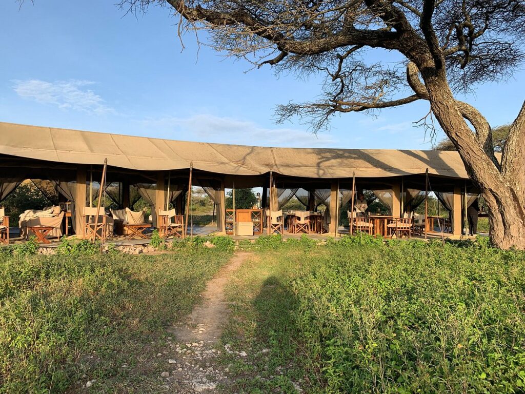 Serengeti safari camp