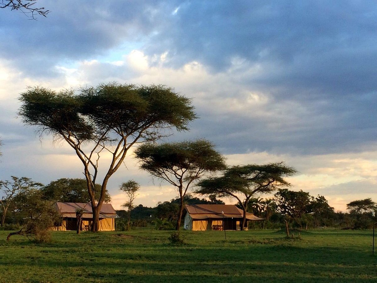 Mbugani Seronera Camp